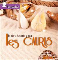 Les Cauris